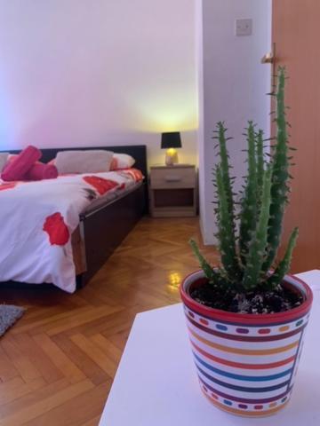 Soba Sa Vlastitom Kupaonicom * Poreč